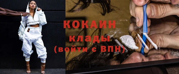 гашик Майский