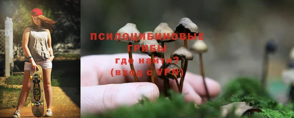 ПСИЛОЦИБИНОВЫЕ ГРИБЫ Медвежьегорск