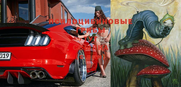 apvp Магас