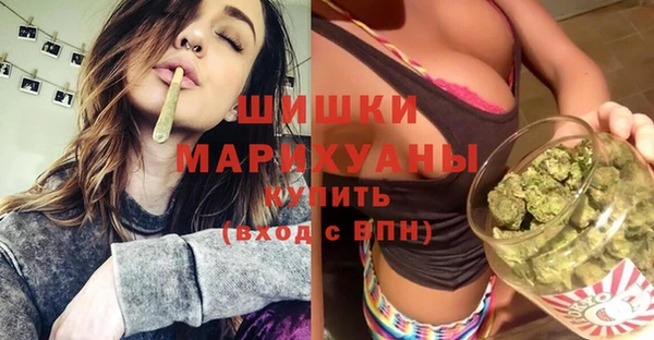гашик Майский