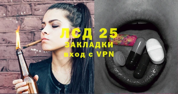 гашик Майский
